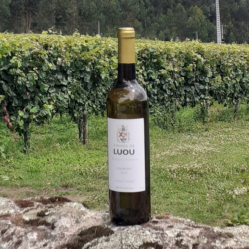 20230724_115731 - cortada - 1000-1000